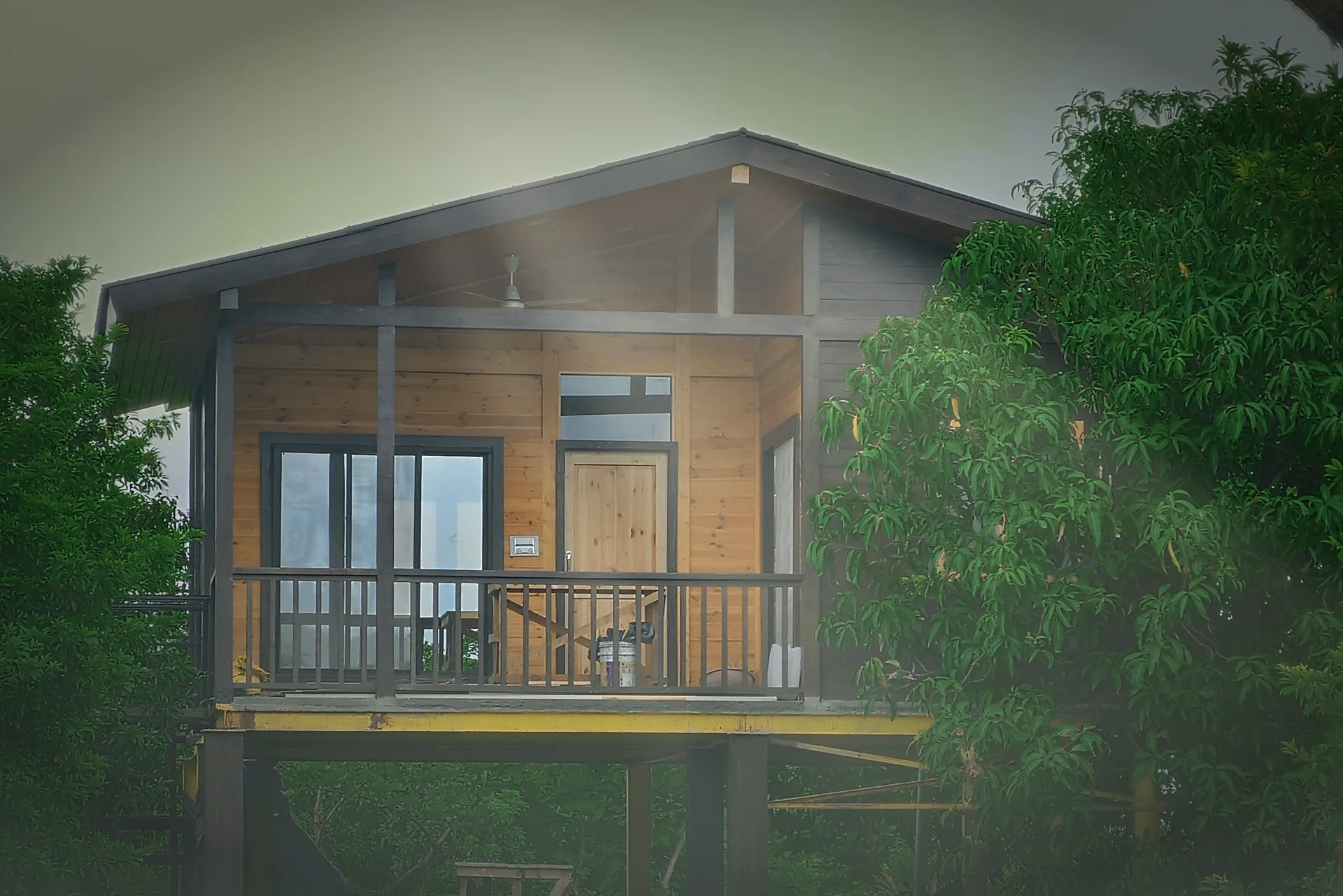 Pine home on stilts framed by mango trees in morning mist