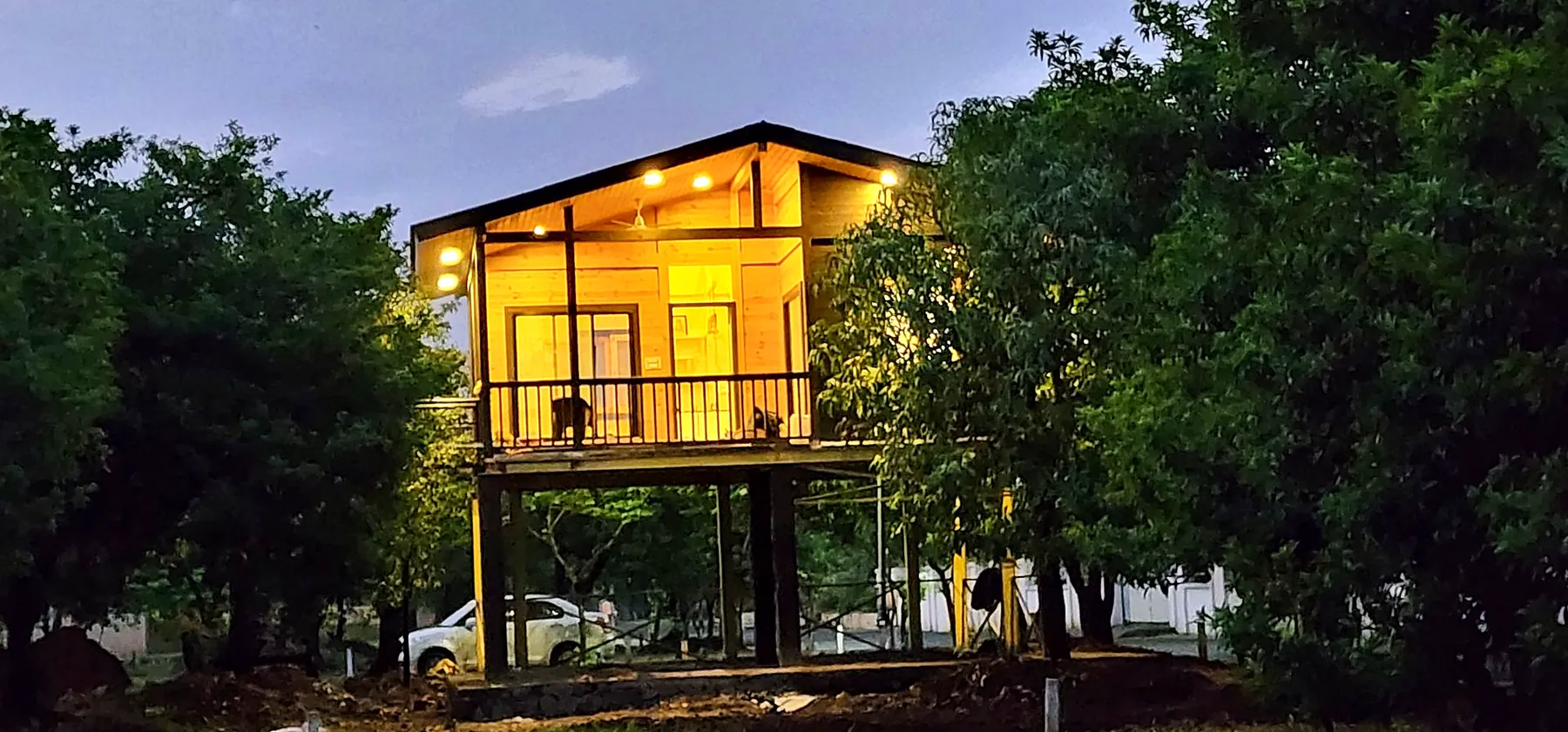 Pine house at dusk after handover by The Wooden Story