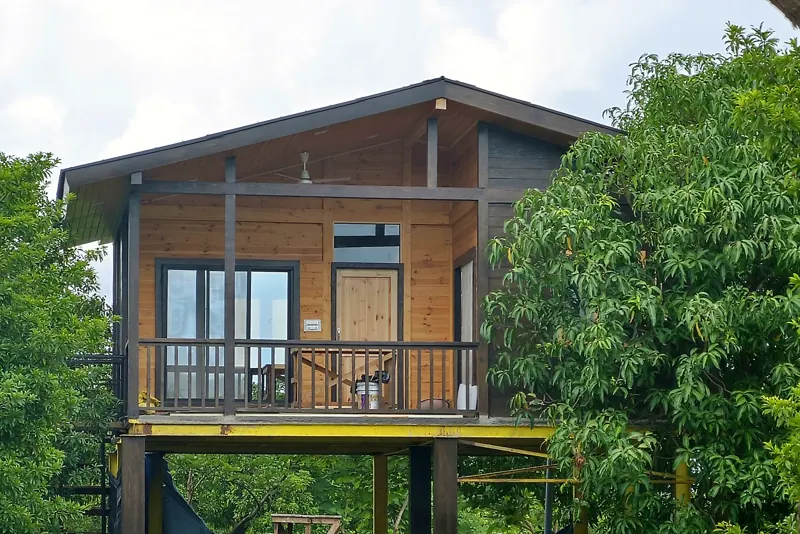Raised pine home with balcony among mango trees, by The Wooden Story